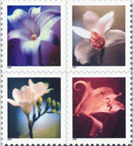 orchid postal stamps
